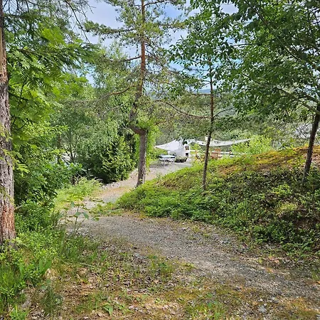Pet Friendly In With Kitchen Holiday home